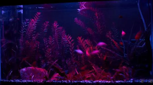 RGB Fish Tank, Aquarium, Fountain, Pond WATERPROOF LED Light KIT